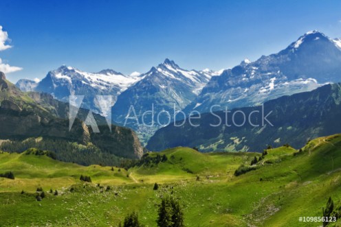 Picture of Beautiful idyllic Alps landscape with mountains in summer Switzerland